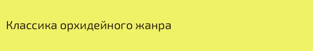 Классика орхидейного жанра